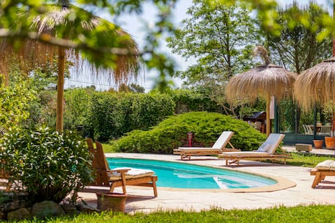 Beautiful Mas Provençal with pool