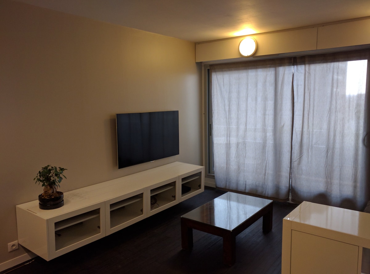 The living area showcases a 55-inch television mounted on a white media console. A wooden coffee table sits in the center, complemented by a small potted plant. Light filters through sheer curtains covering a large window, enhancing the open feel of the space.