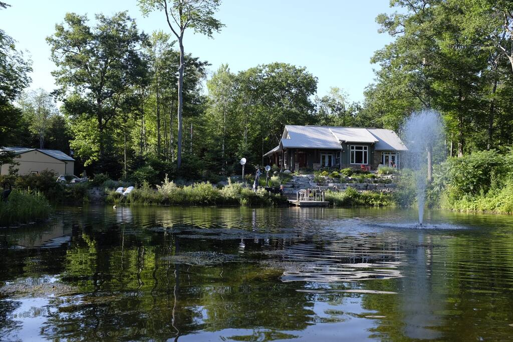 Paddle boat around pond. You may see basking turtles or the pesky beaver at work.