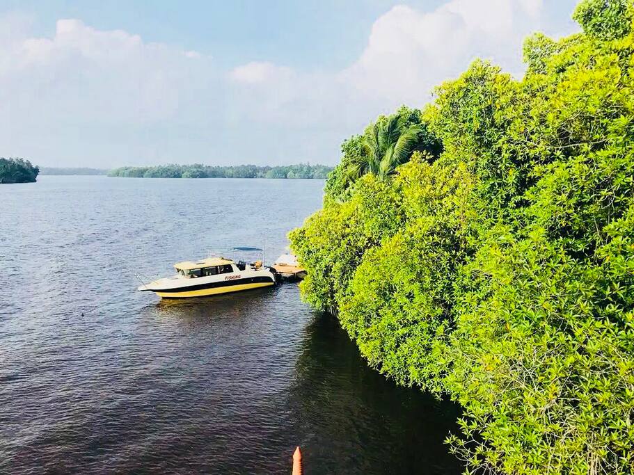 Bentota. River
