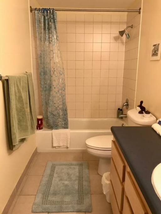Bathroom 1 - full size tub and shower with great water pressure.