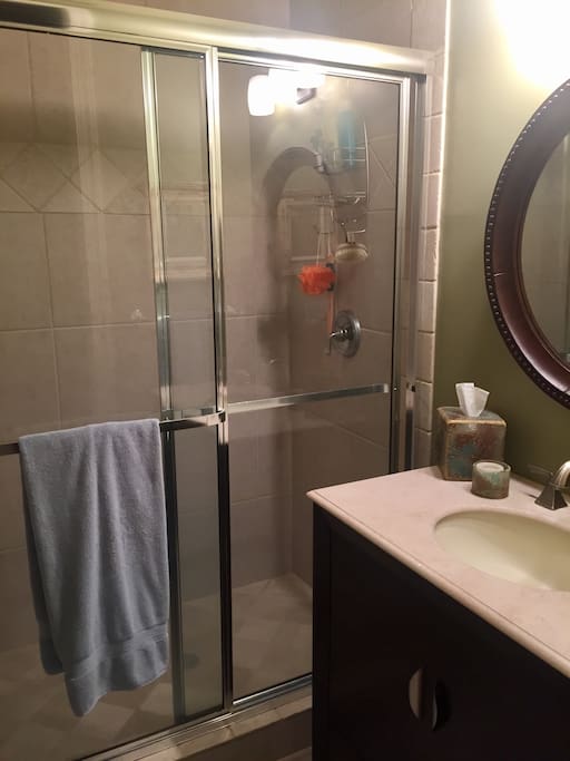 Guest Bath with Walk In Shower