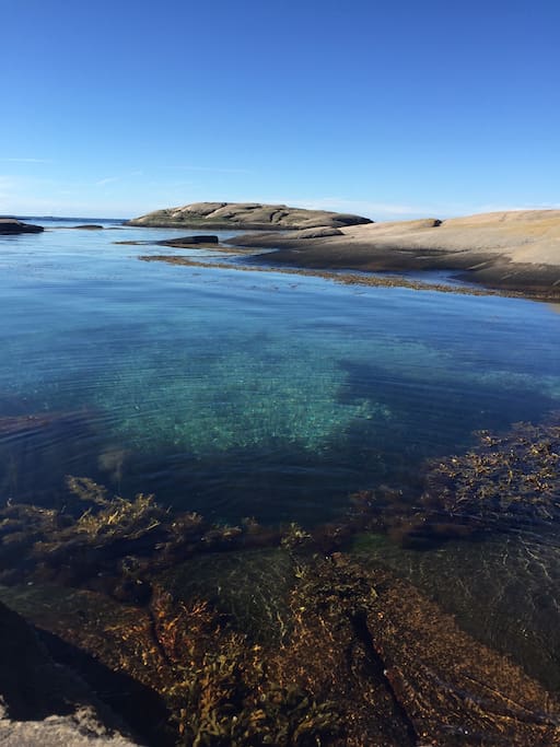 Explore the north sea by boat or kayak