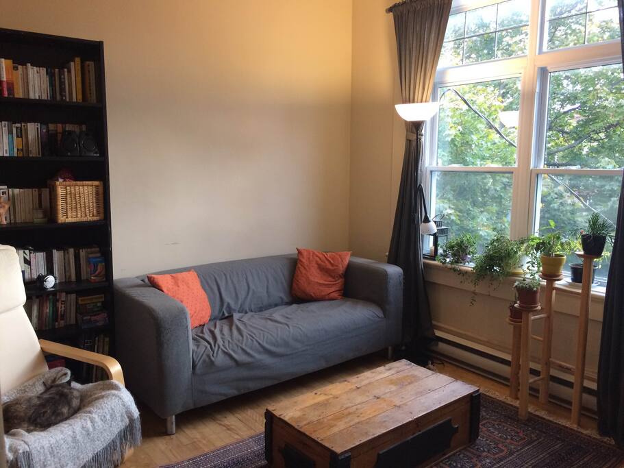 Very sunny living room