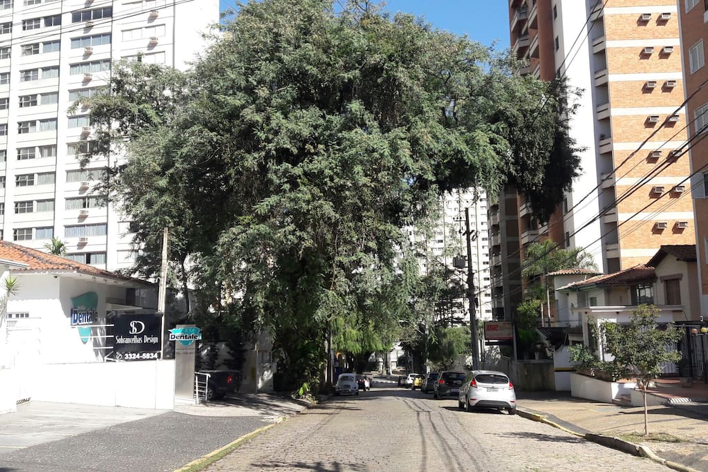 Rua do edifício ,calma e arborizada