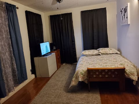 SPACIOUS COZY RM with (pvt entry and bthrm)