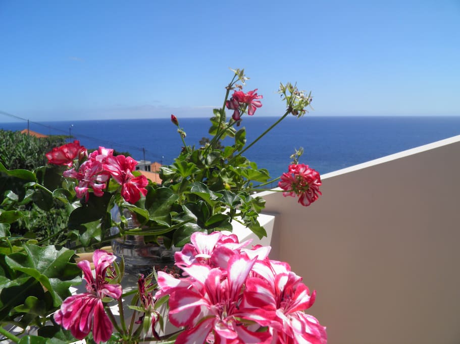 View from the balcony