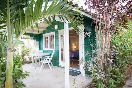 Rembrandt Garden Studio Green