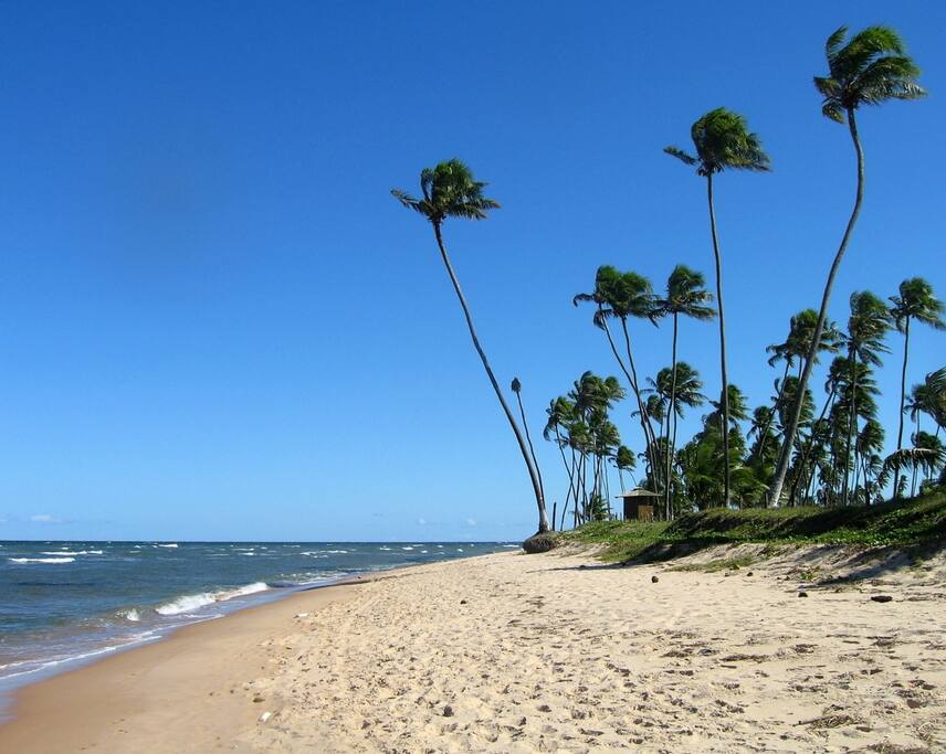Praia de Guarajuba