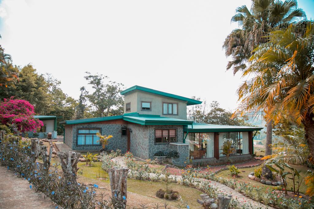 The House
