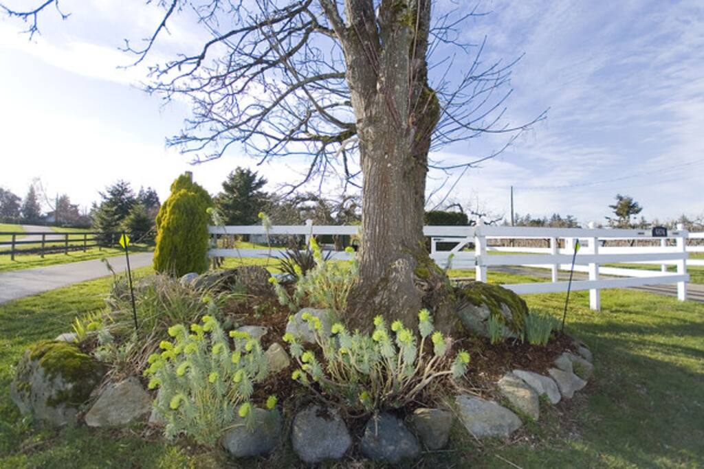 Entrance to property