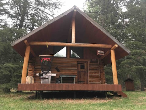 Popular Airbnb listing: The Pine Shack (Rustic and Private) in Clearwater County
