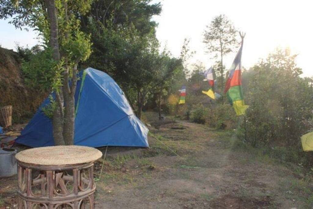 Camp Kesari site