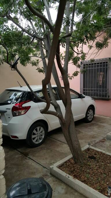 Cochera privada para un coche grande