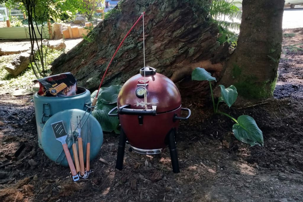 Barbecue/smoker to enjoy. Briquettes too!