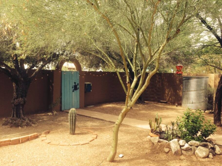 Front courtyard with water harvesting
