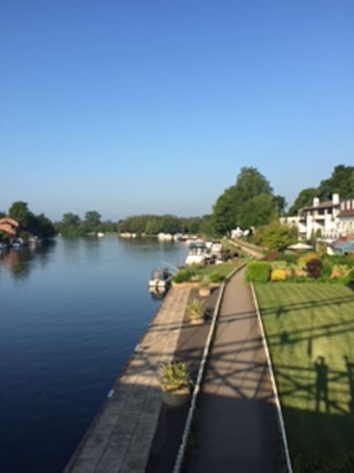 View of the Thames - beautiful Marlow ( only 5 minutes walk from the flat )