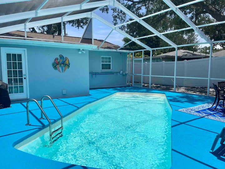 Pool. Fenced yard. Friendly neighborhood. Houses for Rent in Tampa