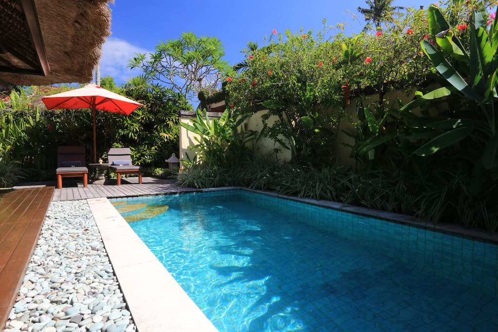 Private Pool and Garden