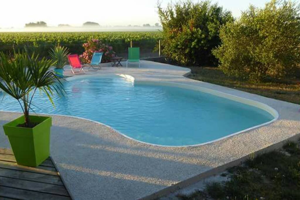 Vue depuis la maison sur la piscine et les vignes du château d'Agassac