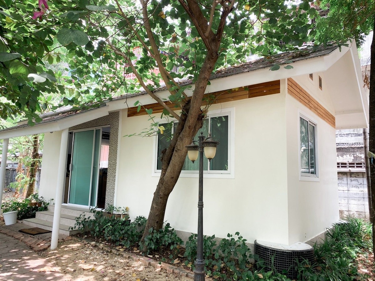 A simple, peaceful exterior showcases a single-story house surrounded by lush greenery. Large windows allow natural light to fill the space, while a tree provides shade. A pathway leads to the entrance, and a lamppost adds a charming touch to the setting.