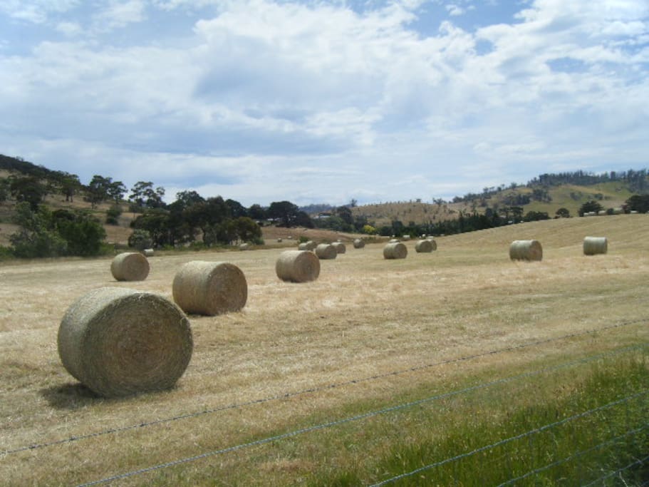 View from the front of the house