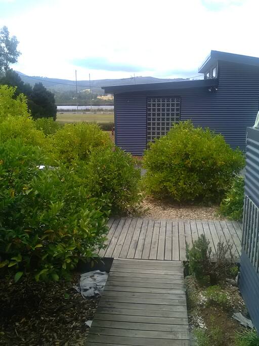 Garden of lemon trees