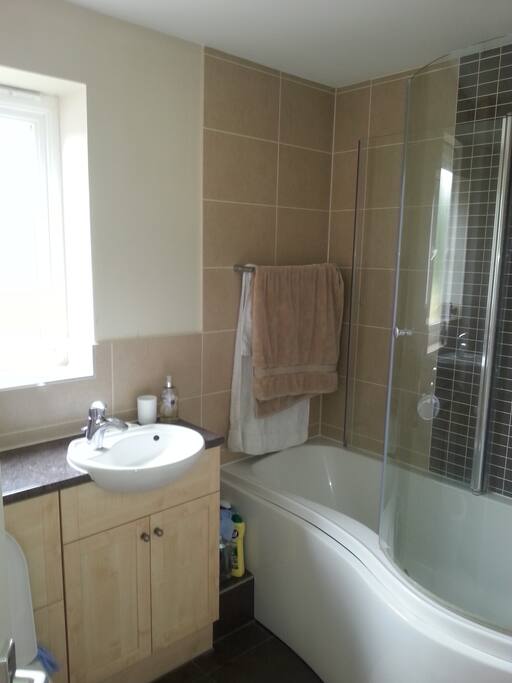 Bathroom with power shower over bath
