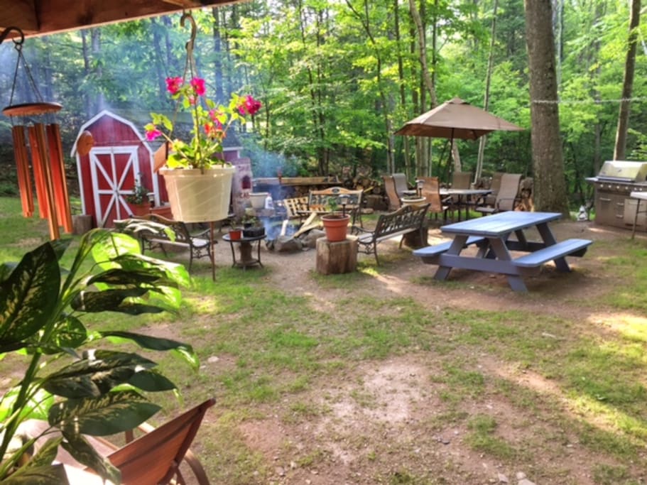 Backyard