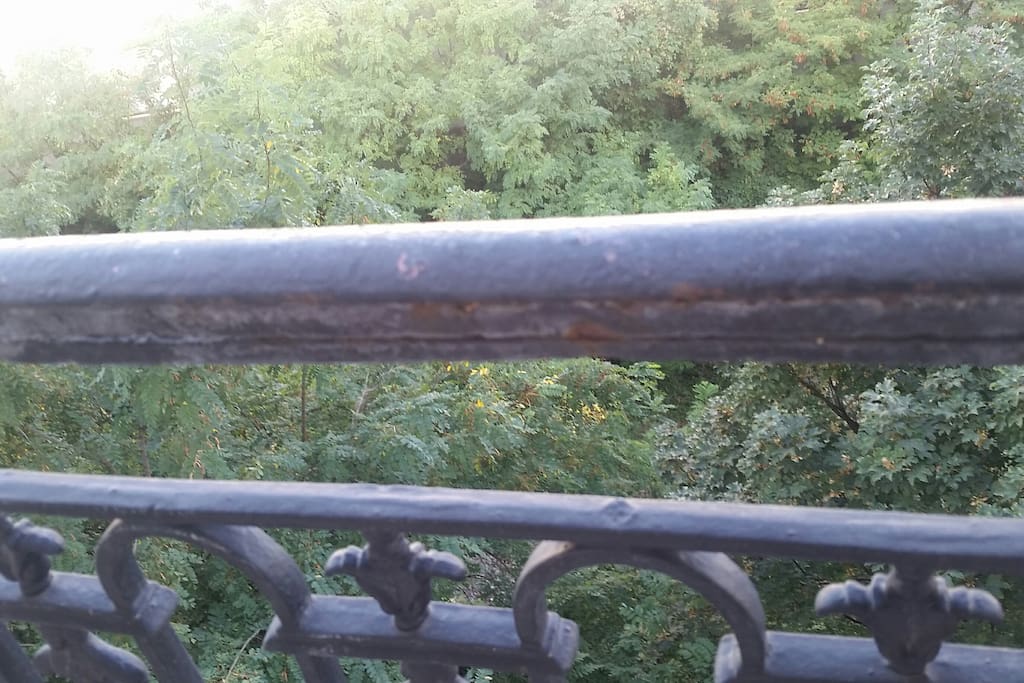 La vue de la fenêtre de la chambre en été