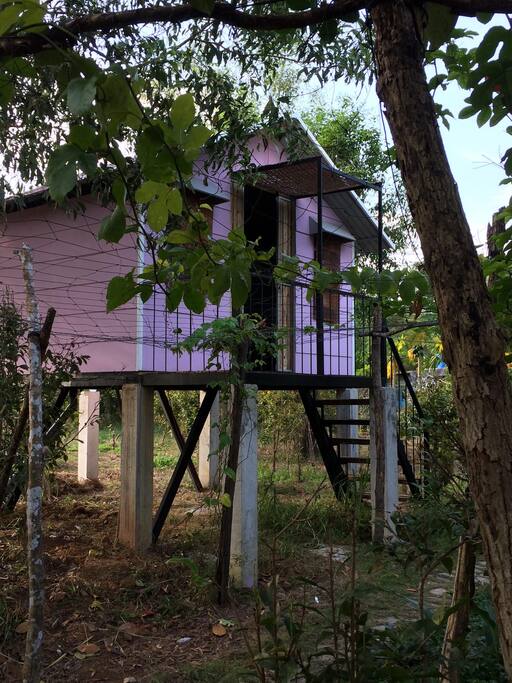 The Bird 's house
