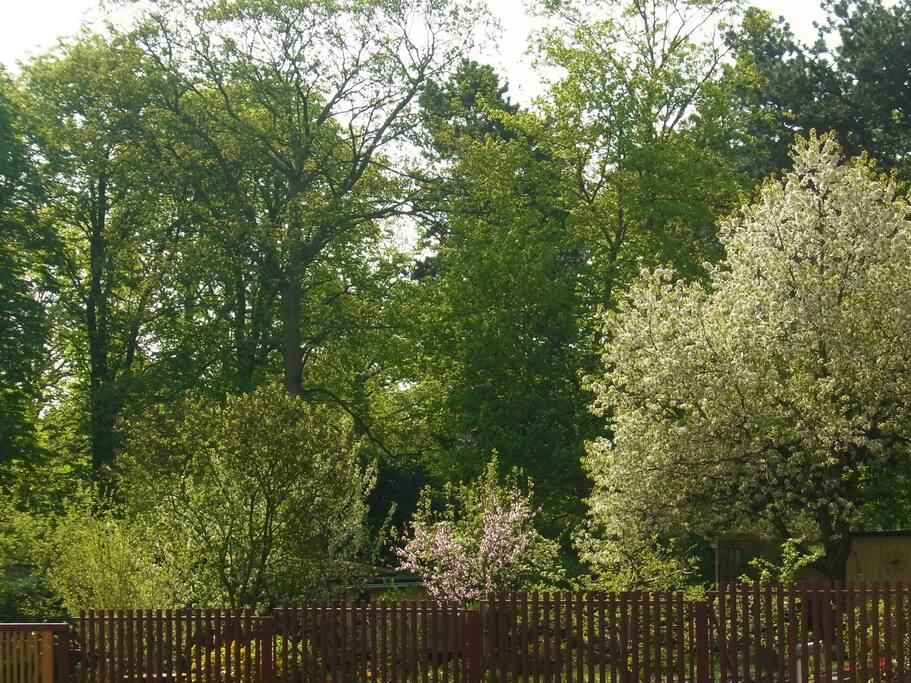 Ausblick auf den gegenüberliegenden Park