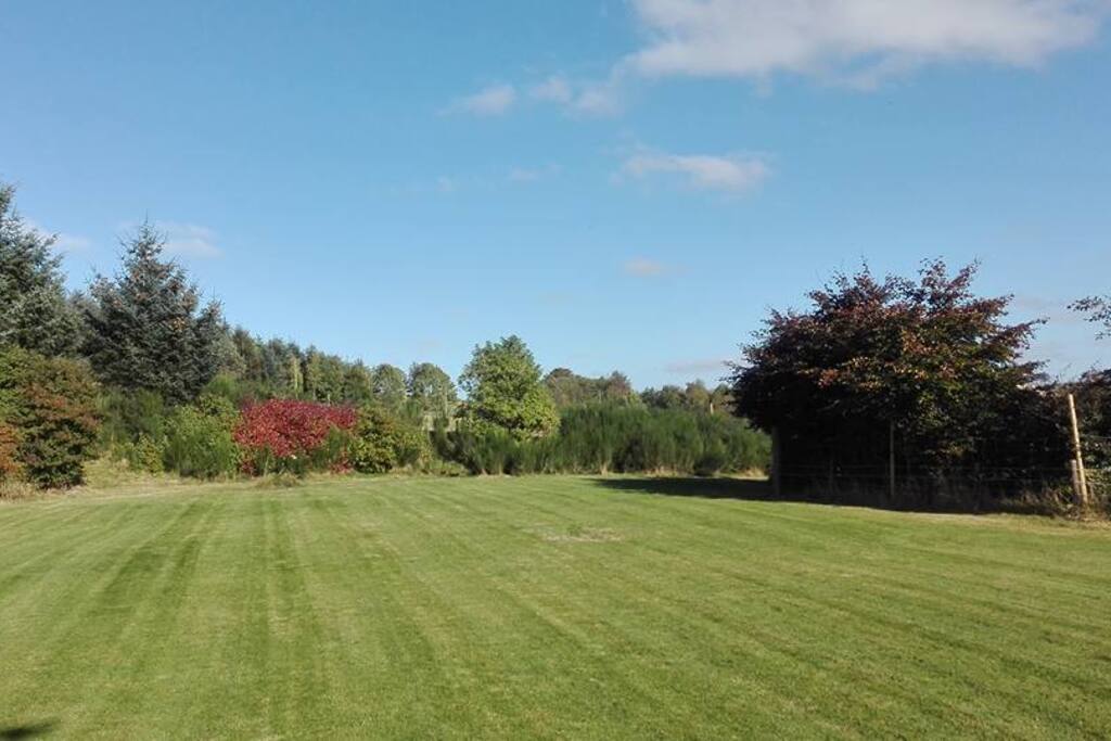 Secure Dog Paddock