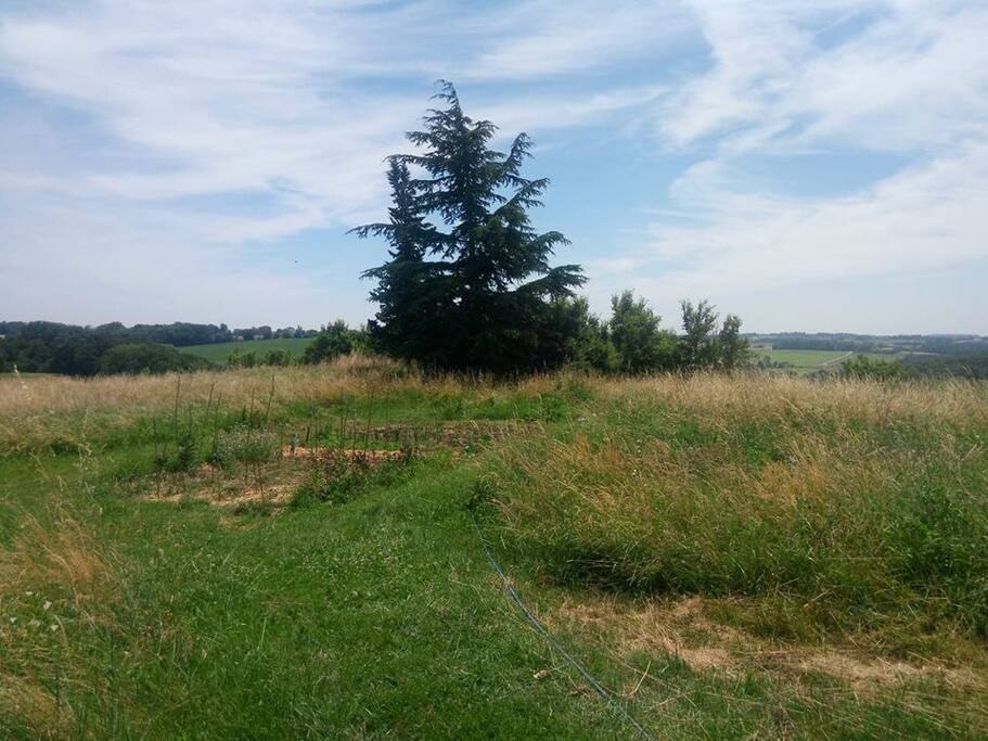 potager vue sur les pyrénées