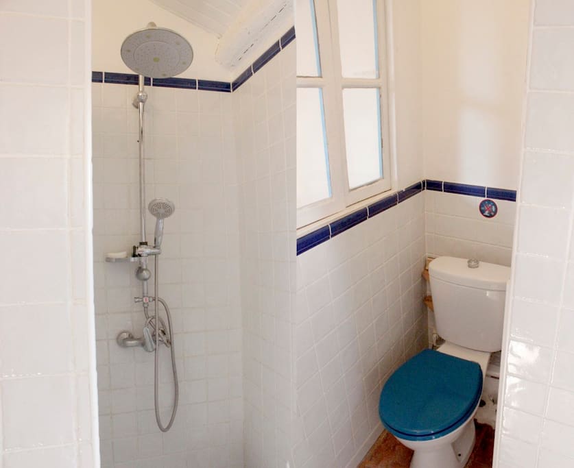 Salle d eau avec wc sanibroyeur.