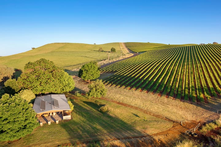 Mt Bellevue™  (Mt Bellevue Lodge)  King Valley