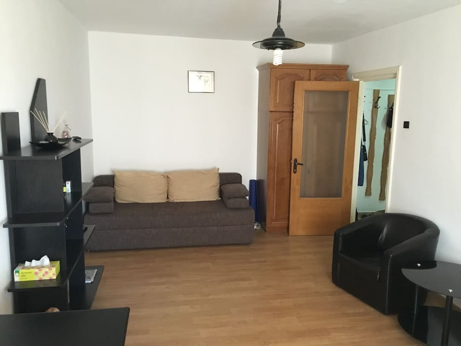 Living room - 1 extendable couch