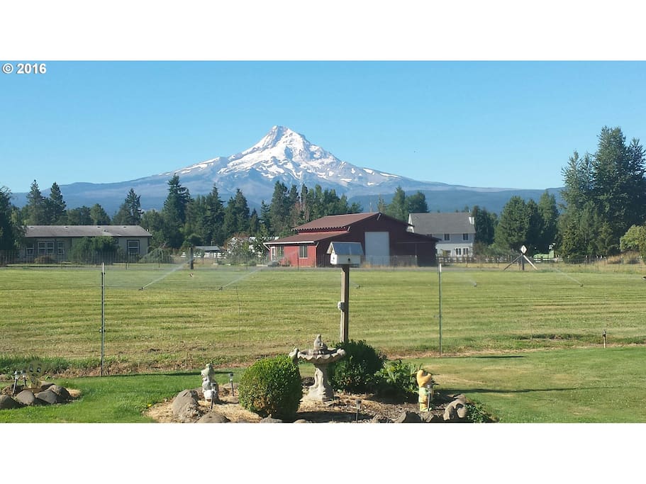 Summer shot of Mt. Hood