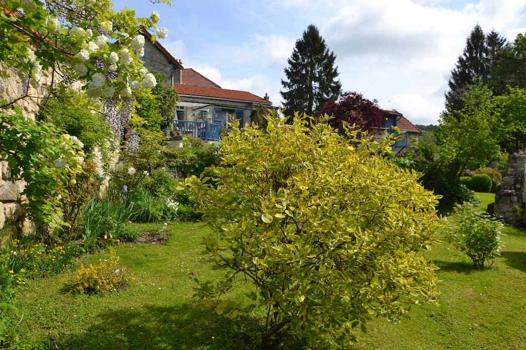 Jardin fleuri