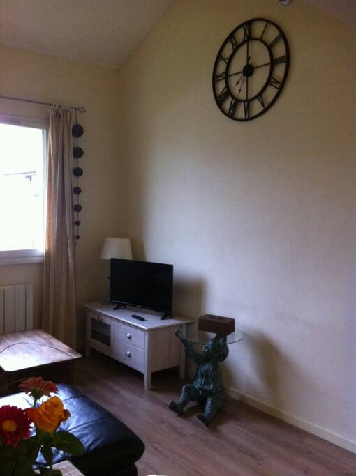 TV 80 cm