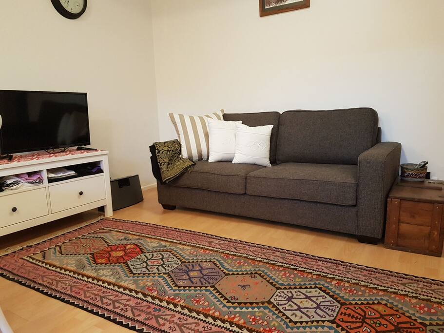 Sofa bed in living room.
