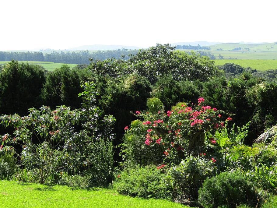 Beautiful Garden
