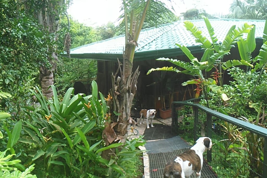 outside Gran Chalet
my dogs wanted to be in the picture