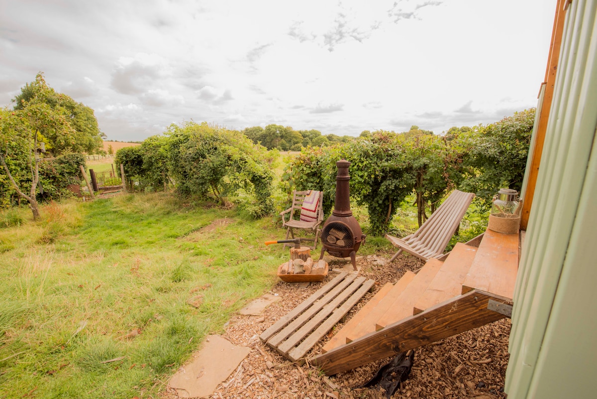 An outdoor view from the cabin shows a private seating area with a small table, two chairs, and a firepit. Stairs lead down to a grassy area surrounded by greenery. The open landscape beyond adds a peaceful backdrop.