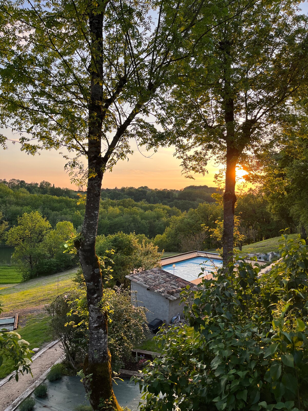 A tranquil scene is presented, featuring a heated pool surrounded by lush greenery. Sunlight filters through the trees, casting a warm glow over the landscape. The natural surroundings create a serene atmosphere, ideal for relaxation and contemplation.