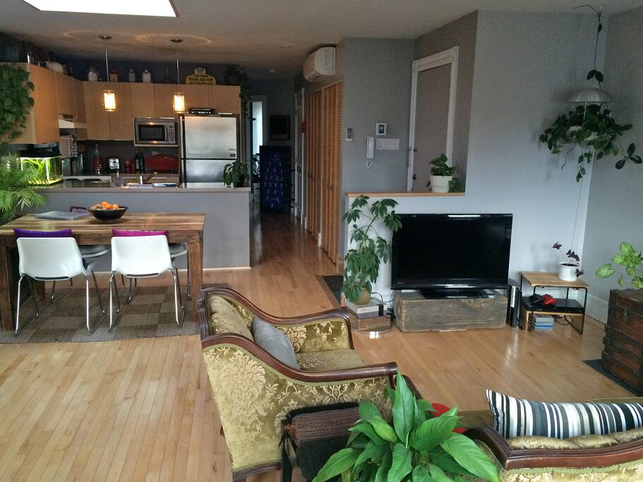 The kitchen viewed from the
living room.