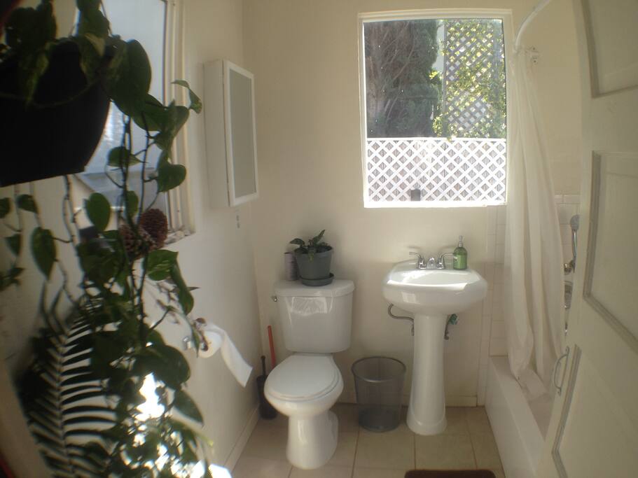 clean bathroom, sink, wand shower, bath tub.