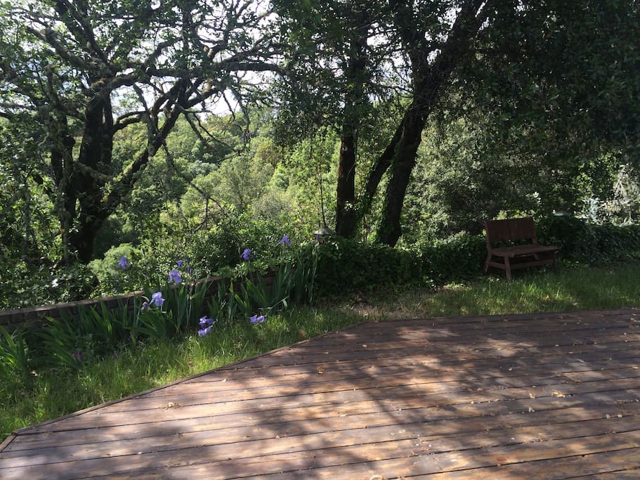 deck and view from porch