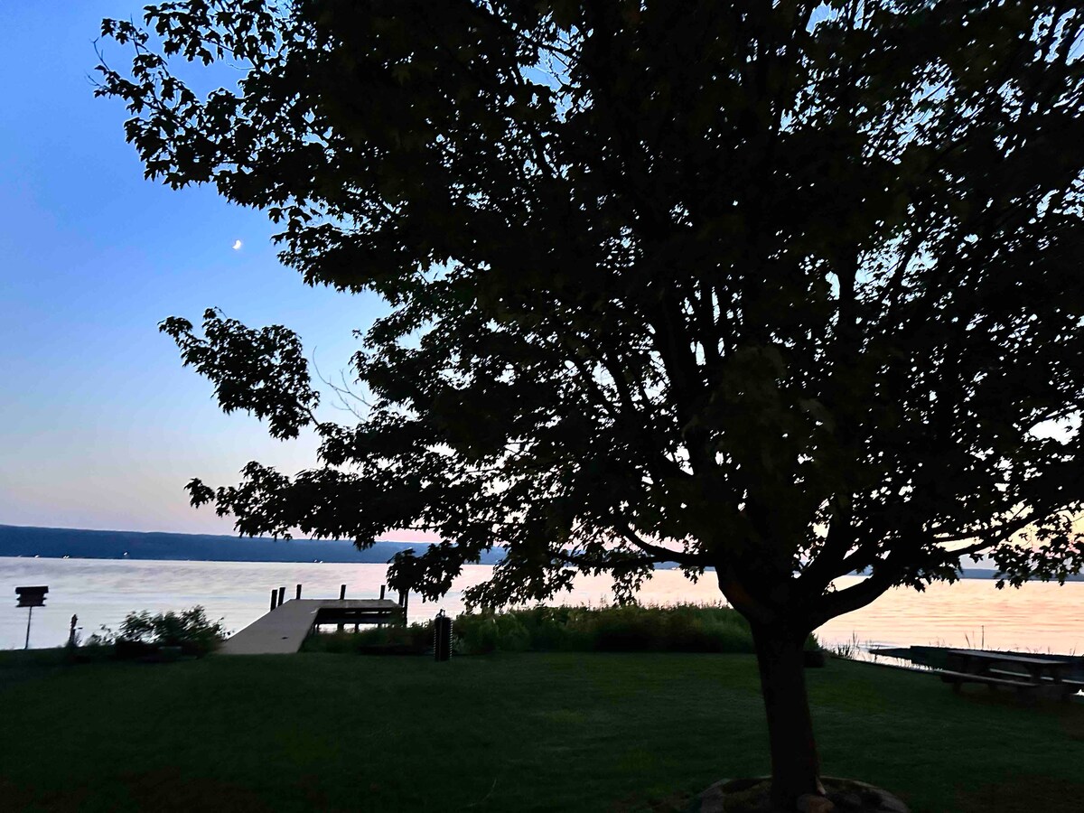 A large tree stands in the foreground, providing shade over the grassy lawn. The image captures the lake in the background with a dock extending over the water, under a soft twilight sky. The moon is visible above the horizon.