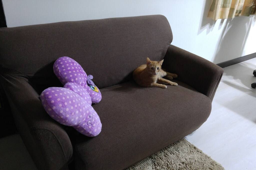 Sofa